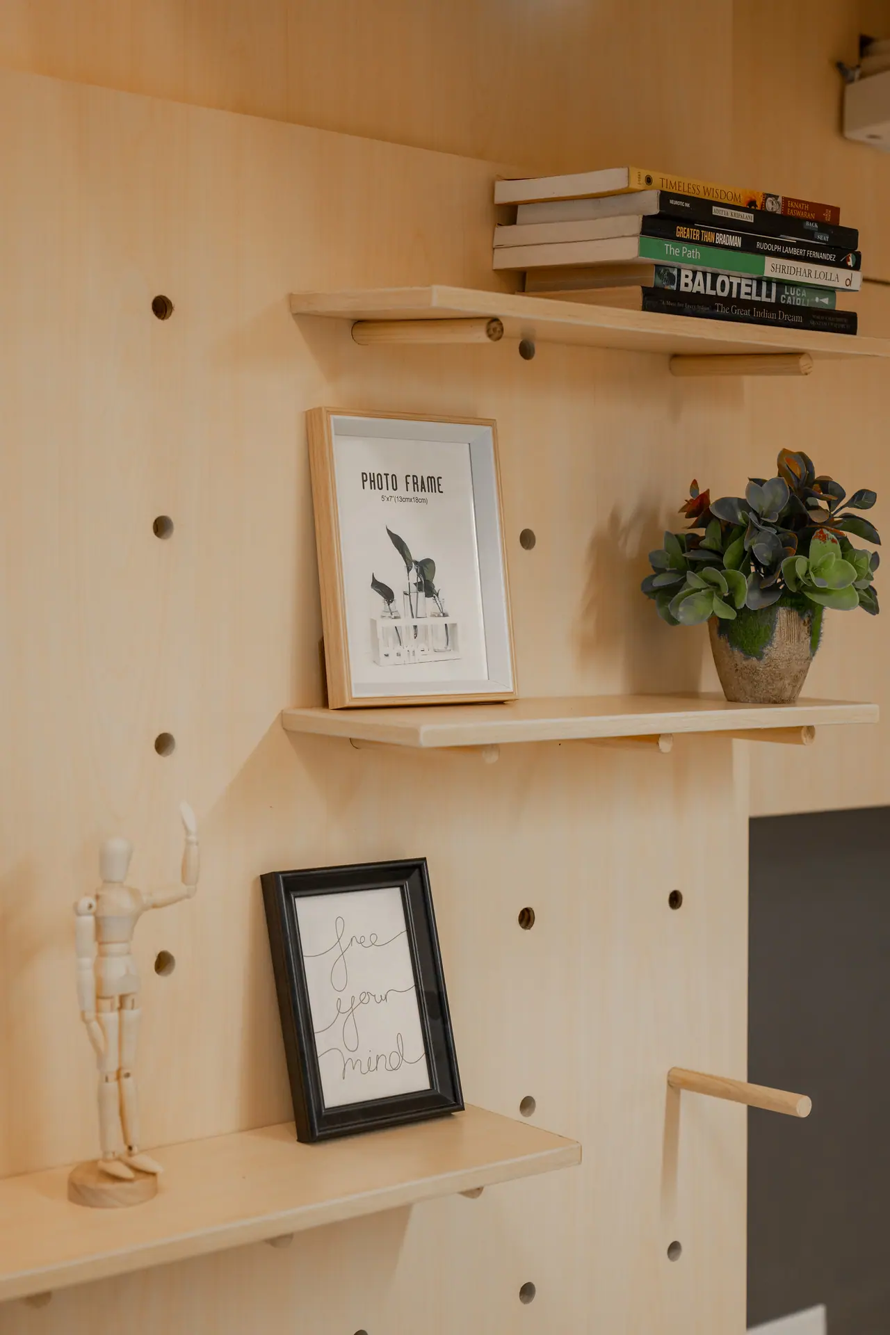 Plywood pegboard wall with timber shelves holding stacked books, a potted succulent, picture frames and a wooden figure