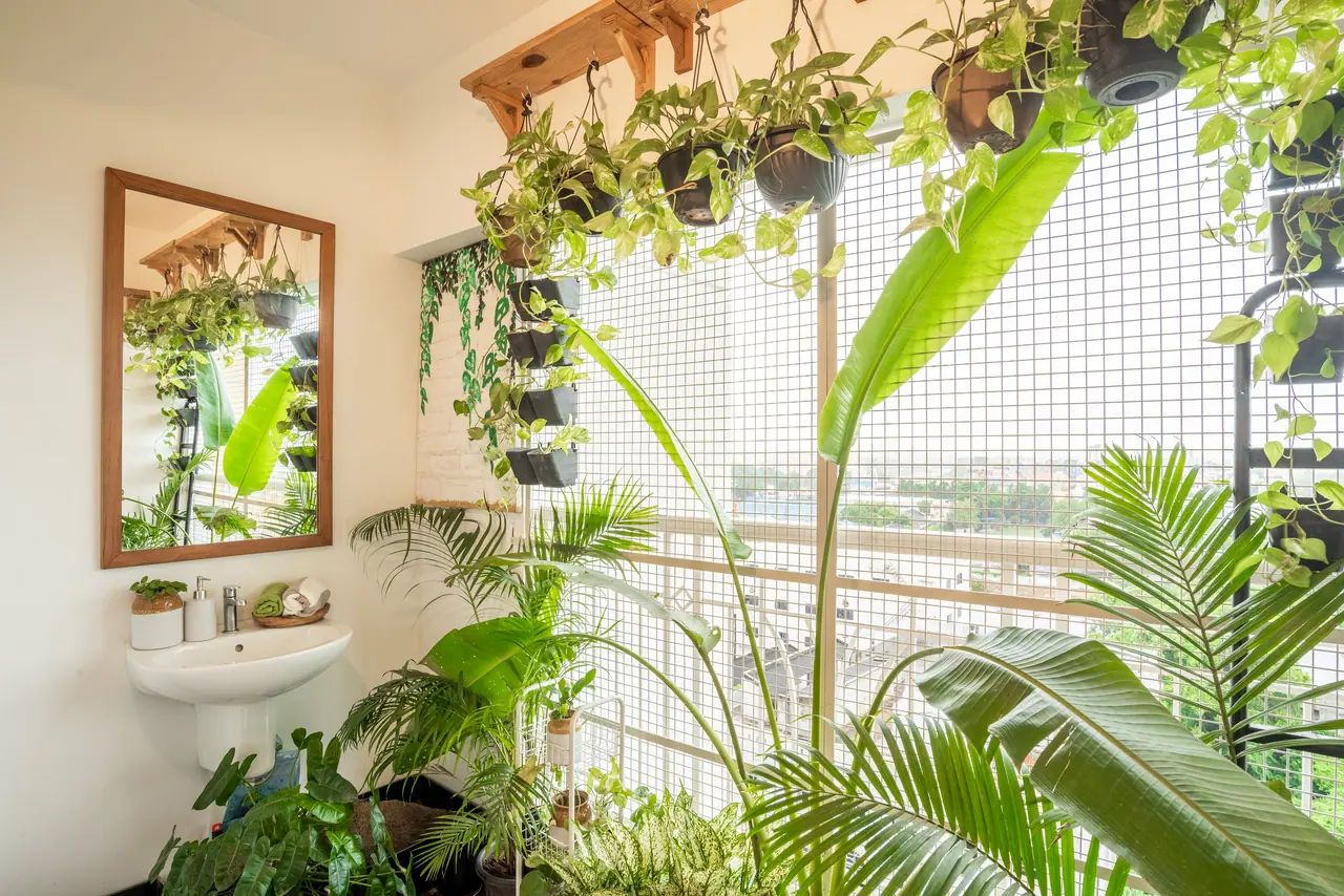 Balcony corner with a wall washbasin, wood-framed mirror, hanging pots and tall tropical plants against a grid mesh screen