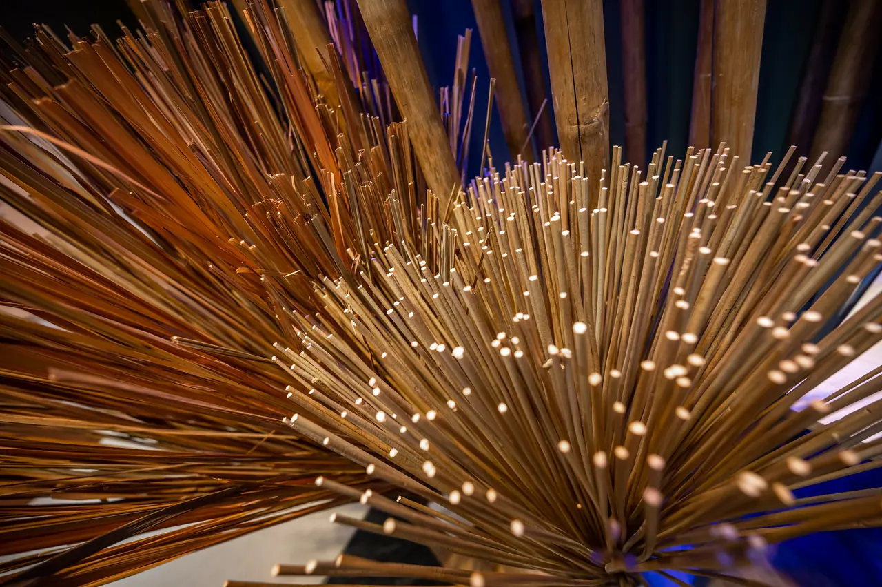 Close-up of a radiating bundle of thin dried sticks in front of tall bamboo poles against a deep blue background