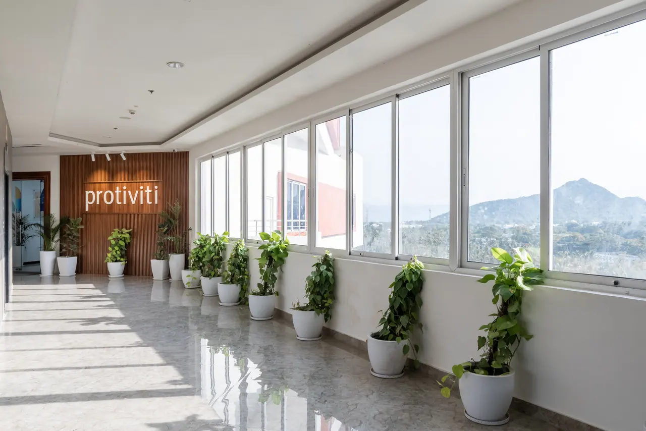 Sunlit corridor lined with potted plants along a long window band looking out to green hills, ending at a wood-slat wall